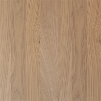 NON-Akustik Clear panel - Ubehandlet Amerikansk Valnød 60 x 120 cm