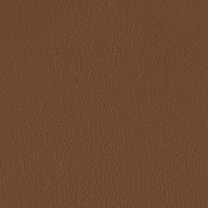 Cohera Bison Cinnamon