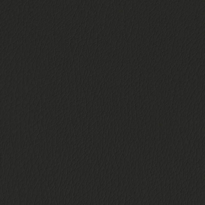 Cohera Bison Black